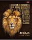 Тетрадь "Hatber", 48л, А5, клетка, 3D фольга и лак, ламинация, на скобе, серия "King Lion"