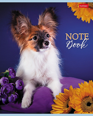 Тетрадь "Hatber", 60л, А5, клетка, на скобе, серия "Наши пёсики"